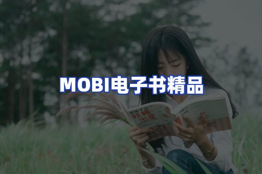 外文电子书产品